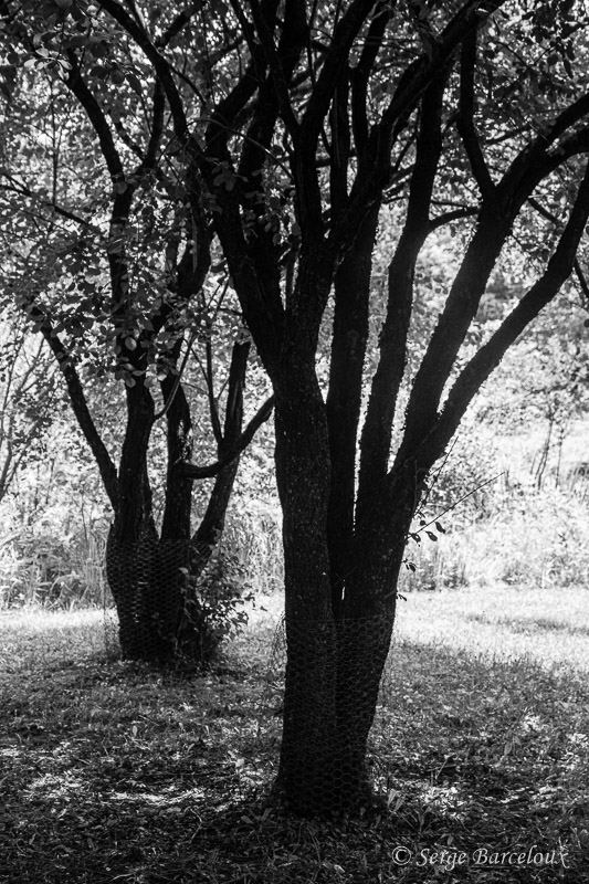SB_T4C0121