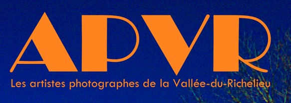 LES ARTISTES PHOTOGRAPHES