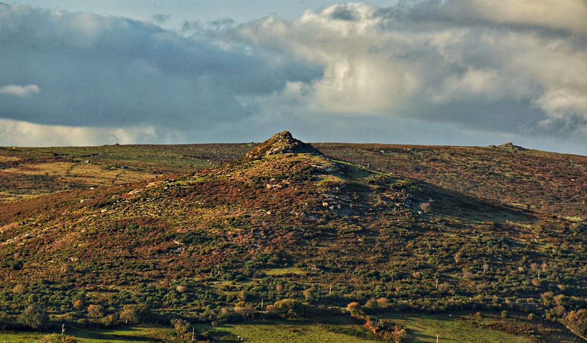 Sharp Tor 