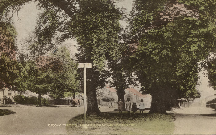 Crow Trees, Haughton-le-Skerne
