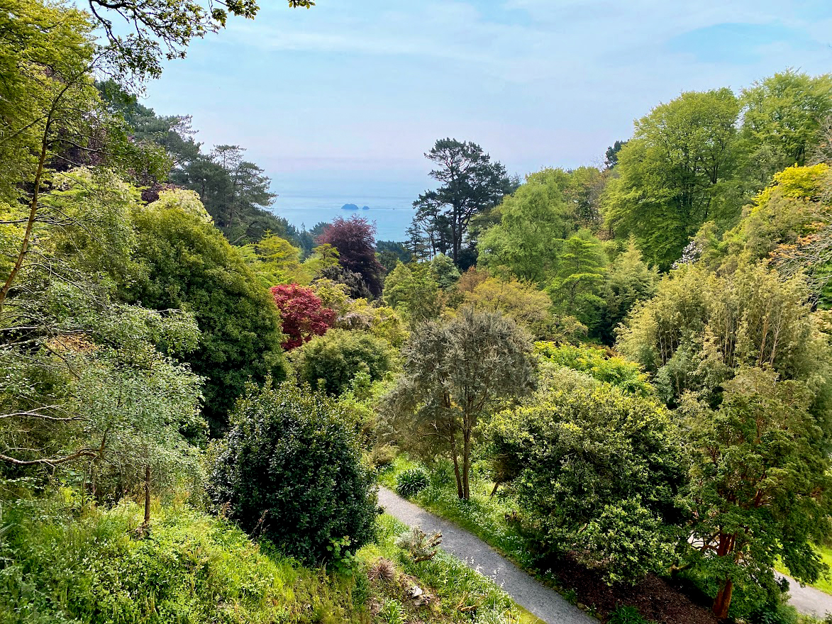 Coleton Fishacre Vista