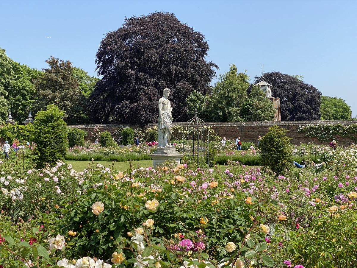Hampton Rose Garden