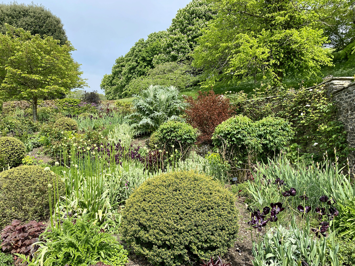 Coleton Fishacre Garden 