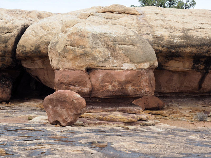 Colored layers of rock, Pothole trail, Needles district, Canyonlands NP