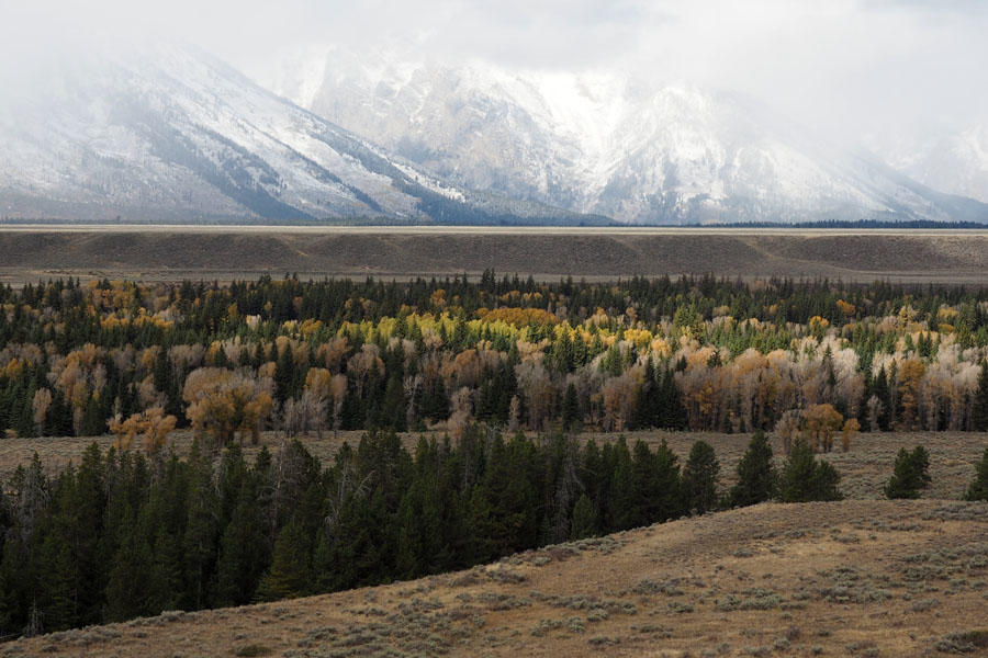 The Jackson Hole Valley of the Snake River