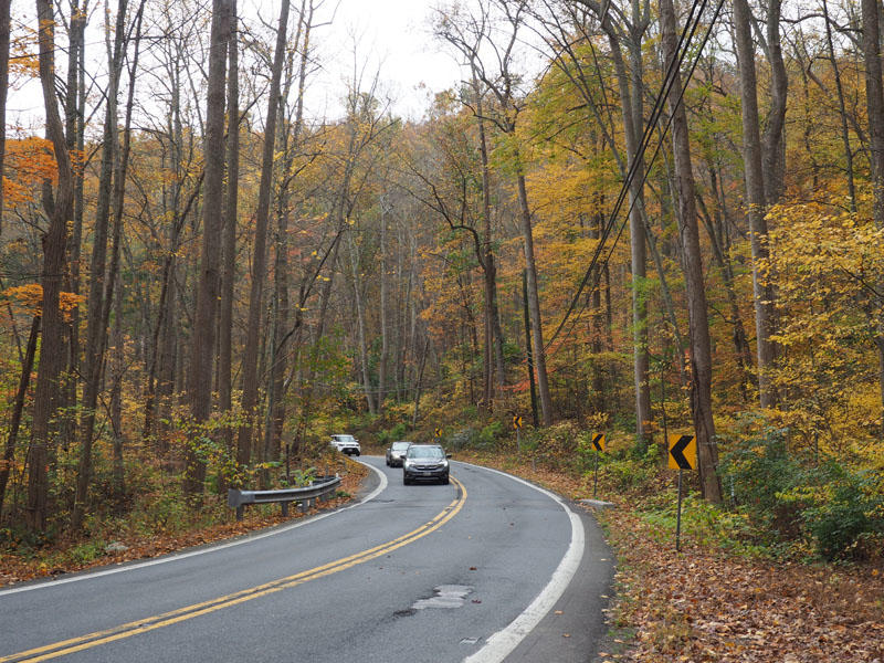 Outside Catoctin Mountain Park