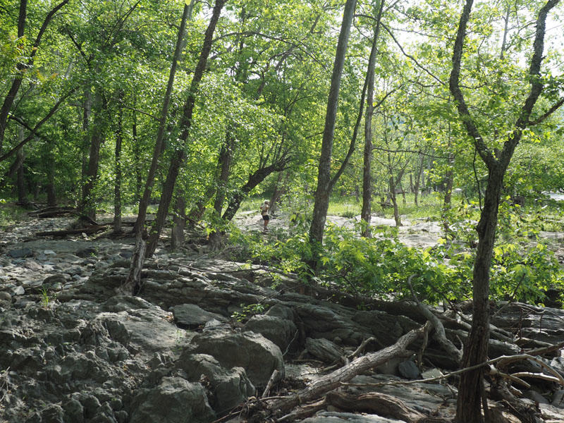 Exploring the shore of the river