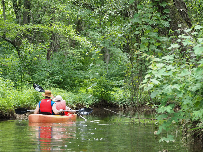 Up the creek