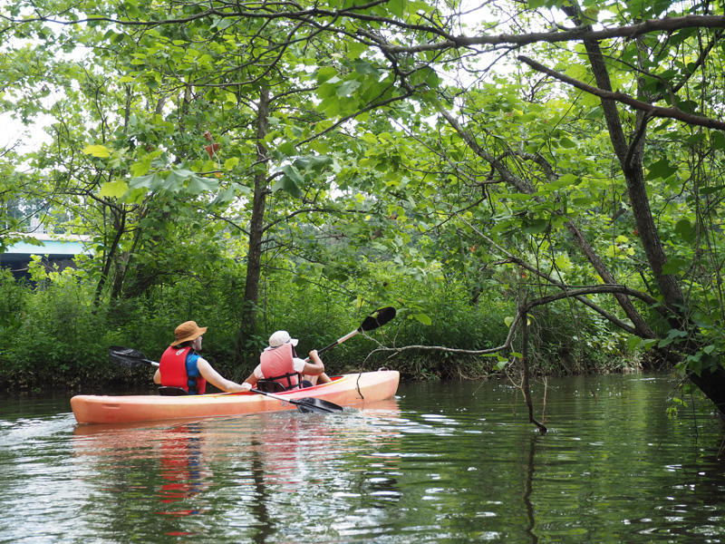 On the way out of the creek