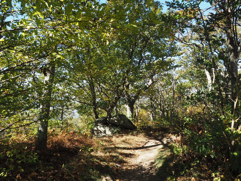 The Appalachian trail along the top of the ridge
