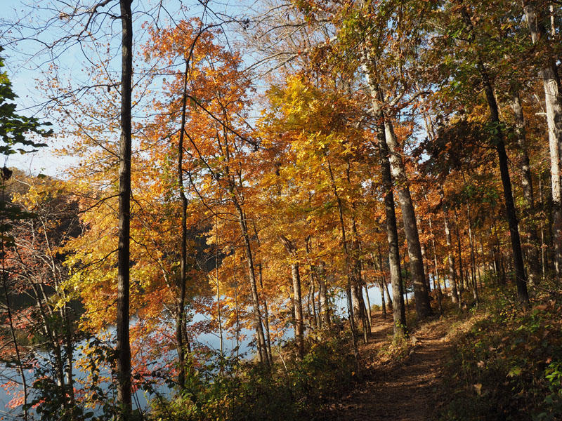 Next to Clopper Lake