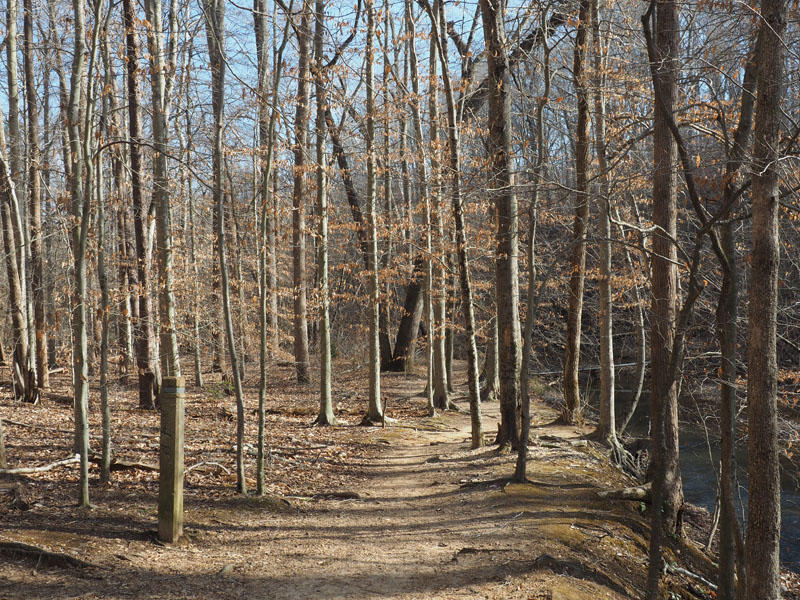 Trail in Prince William Forest Park, VA