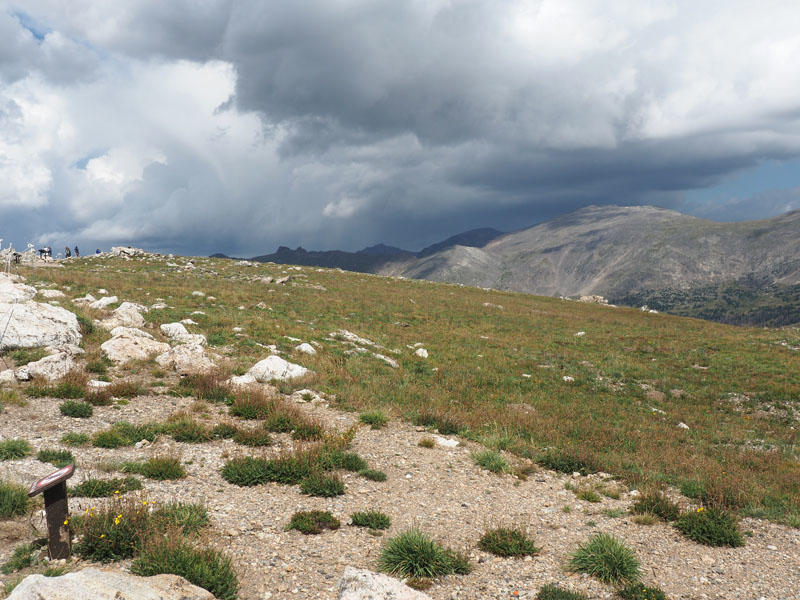 The vegetation of the frozen tundra