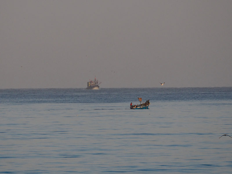 Boats out in the Atlantic early in the morning