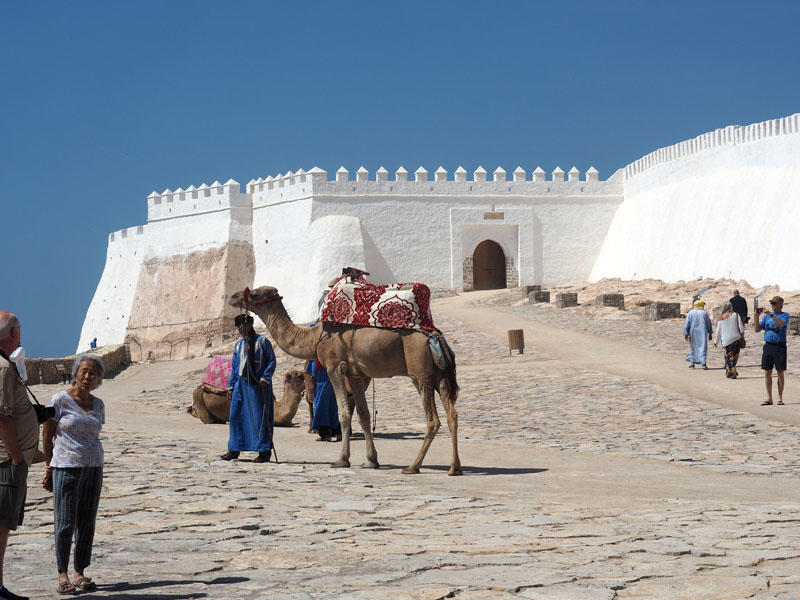 At the Kasbah, or Fort