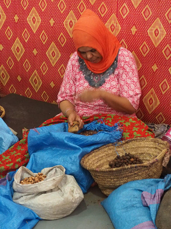 Shelling the argan fruit with a rock