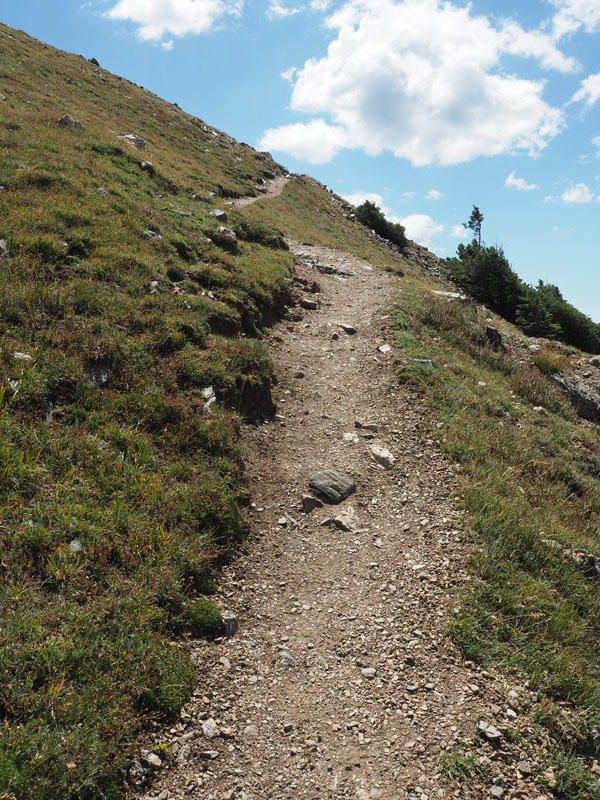 A steady climb up the trail