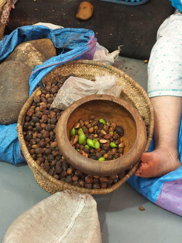 Seeds extracted from the argan fruit