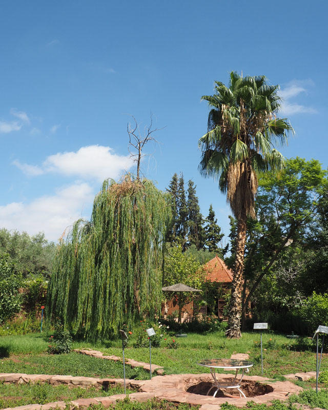 Jardin bio-aromatique de l'Ourika
