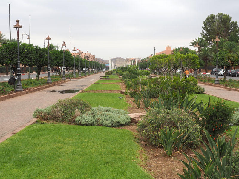 In the middle of Boulevard Mohammed VI