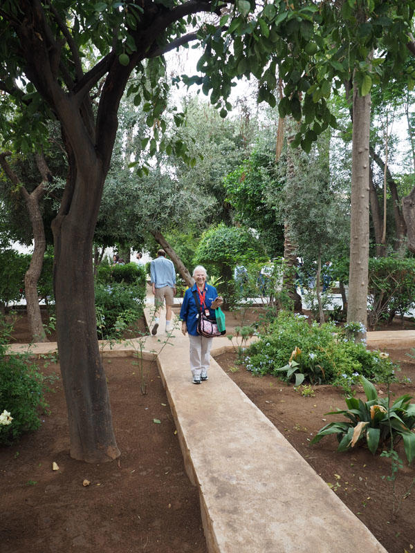 A garden in the Bahia Palace