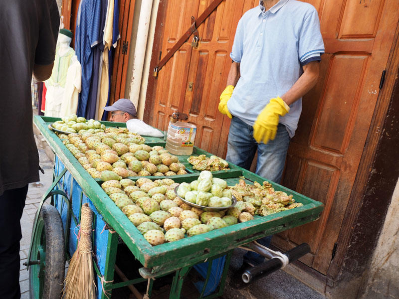 Cactus fruit