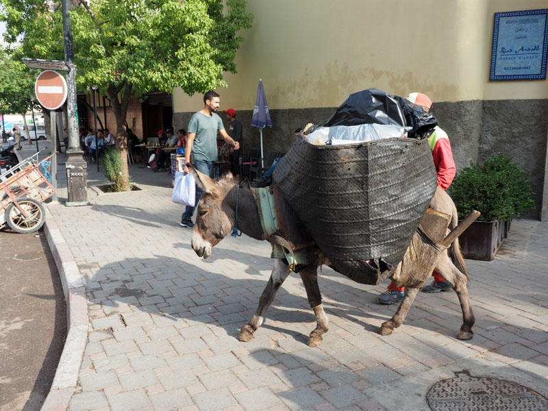 Garbage collection from the medina