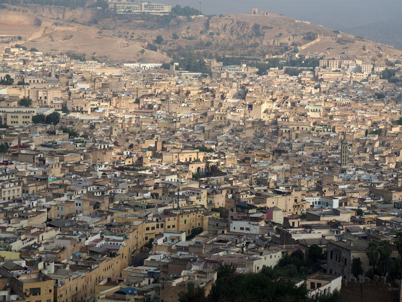 The medina of Fes seen from the Borj Sud