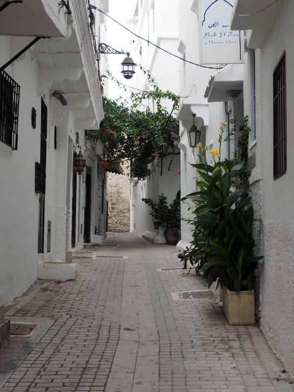 Alleyway in the old town of Tangier