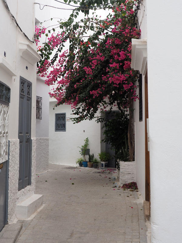 Alleyway in the old town of Tangier