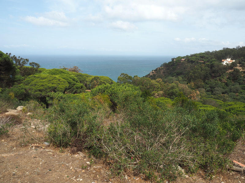 View of Mediterranean Sea from Perdicaris Park