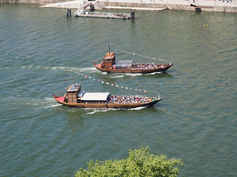 Tour boats in the Douro River
