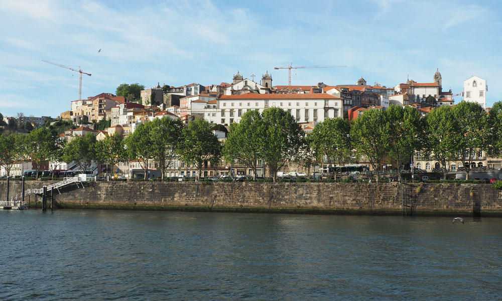 View from the Douro river