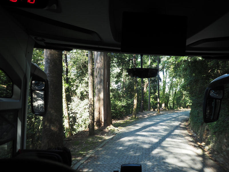 The bus route out of Busssaco Palace Hotel
