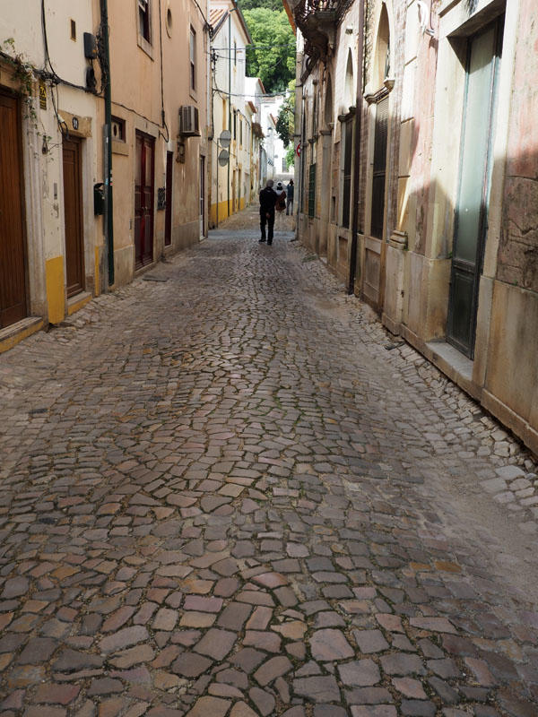 Pretty cobblestone street in Tomar