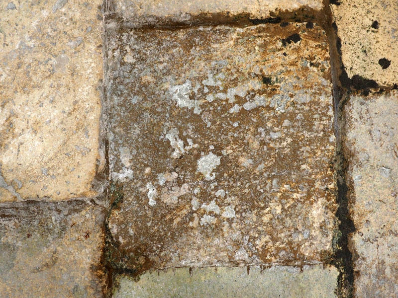Stone on the floor of the church at Alcobaca