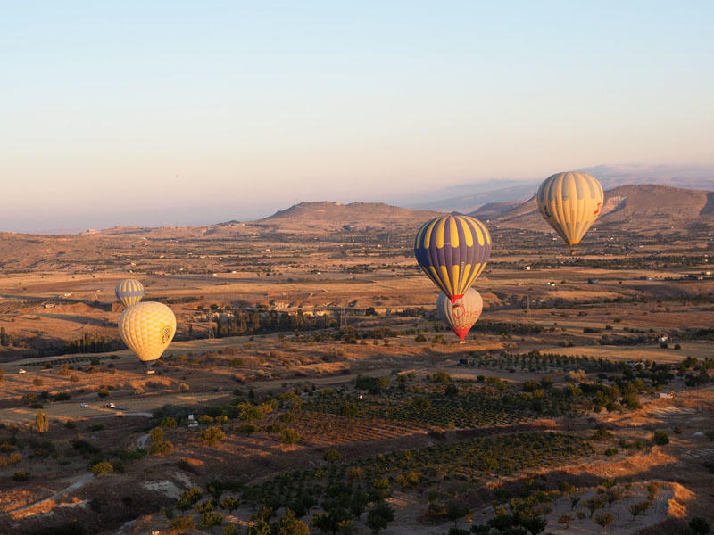 Caught in the early morning light after sunrise