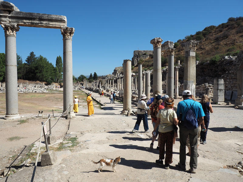 The commercial Agora and Marble Street at Ephesus