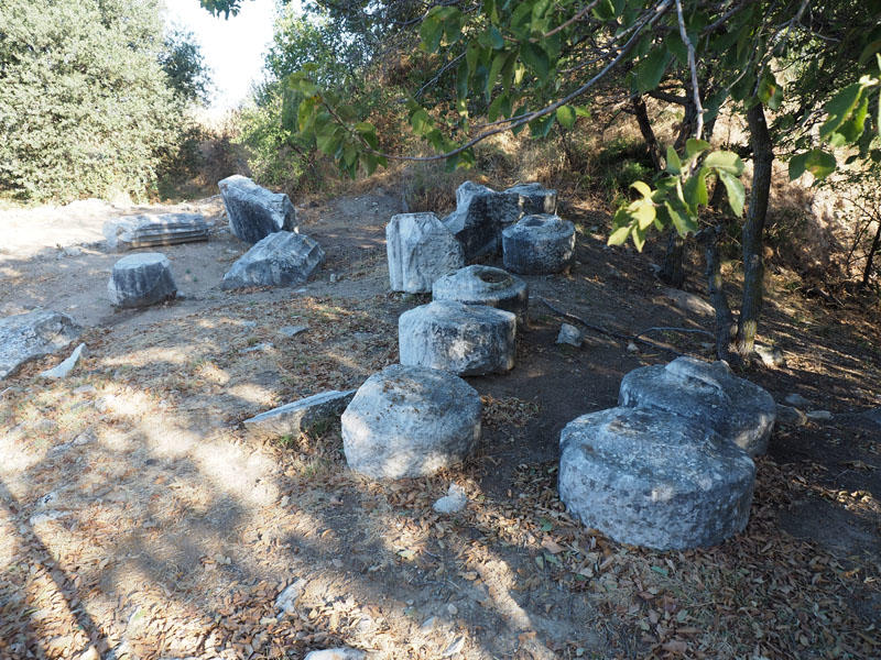 Remains of columns from the ruins