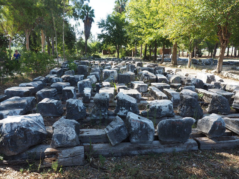 Stones from the ruins that can be used for restoration