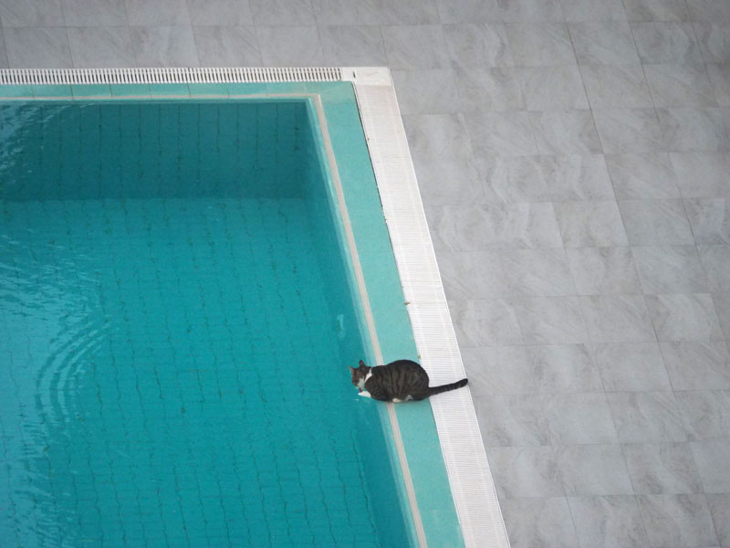 Testing the water in the hotel's pool