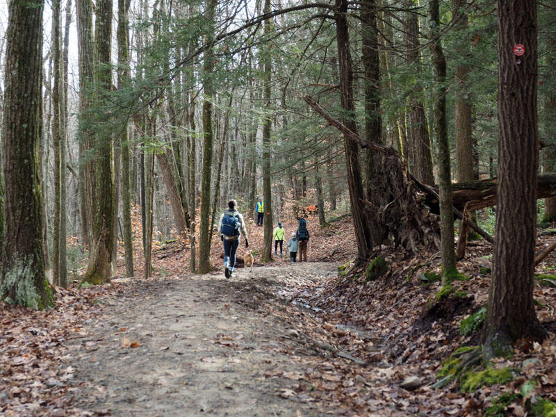 Neversink River Unique Area