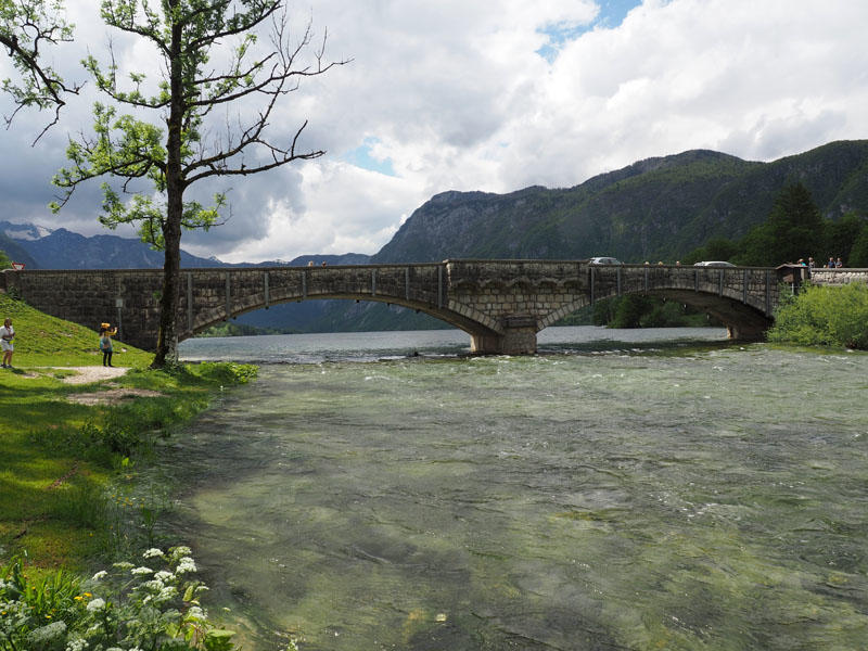 Sava Bohinjka River flowing out of the Bohinj Lake at Ribčev Laz