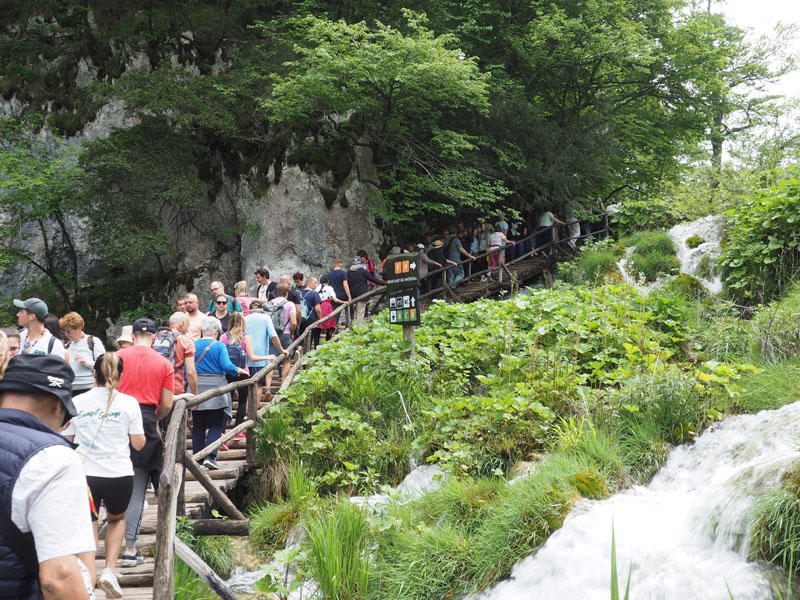 The pathway