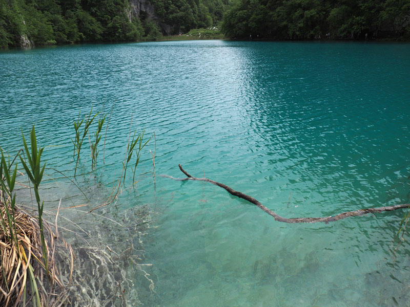 The color of the water