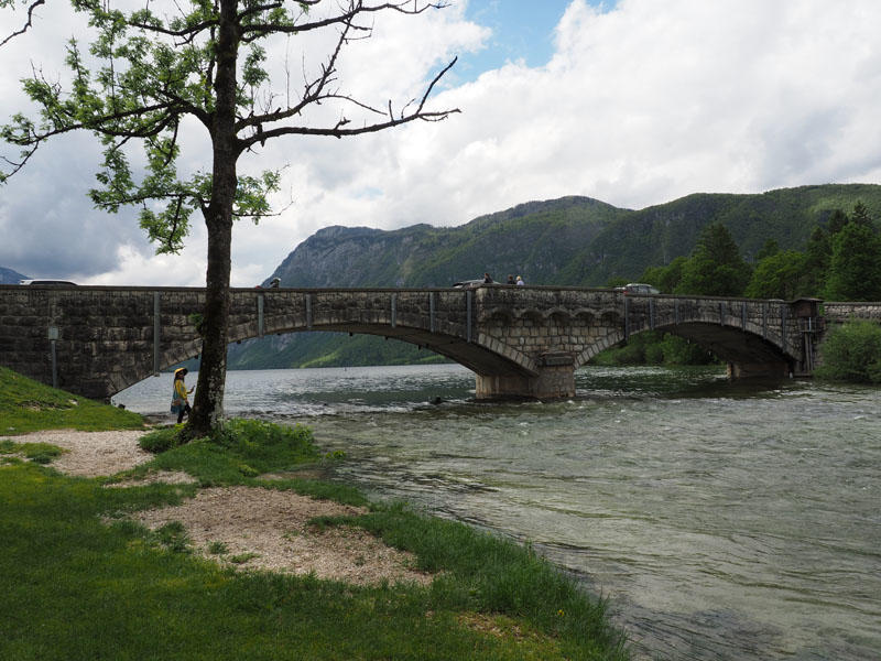 Sava Bohinca River flows out of the Bohinj Lake at Ribčev Laz