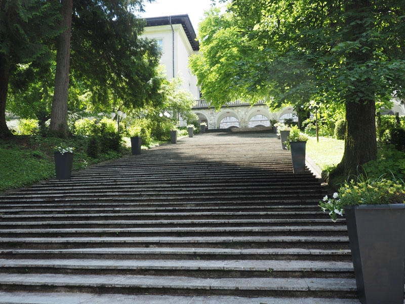 Leading up to Tito's former Villa, Vila Bled