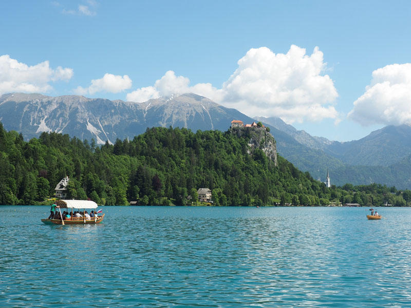 A view from Bled Island