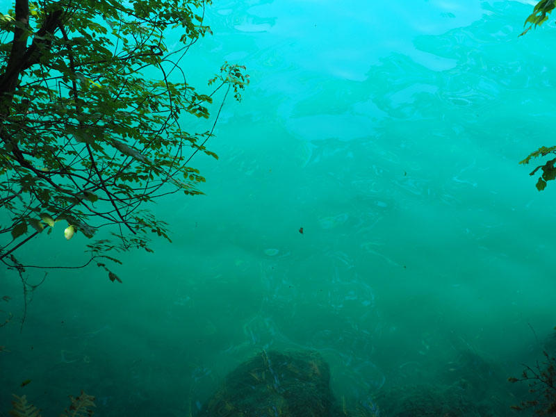 Incredible color of water next to Bled Island