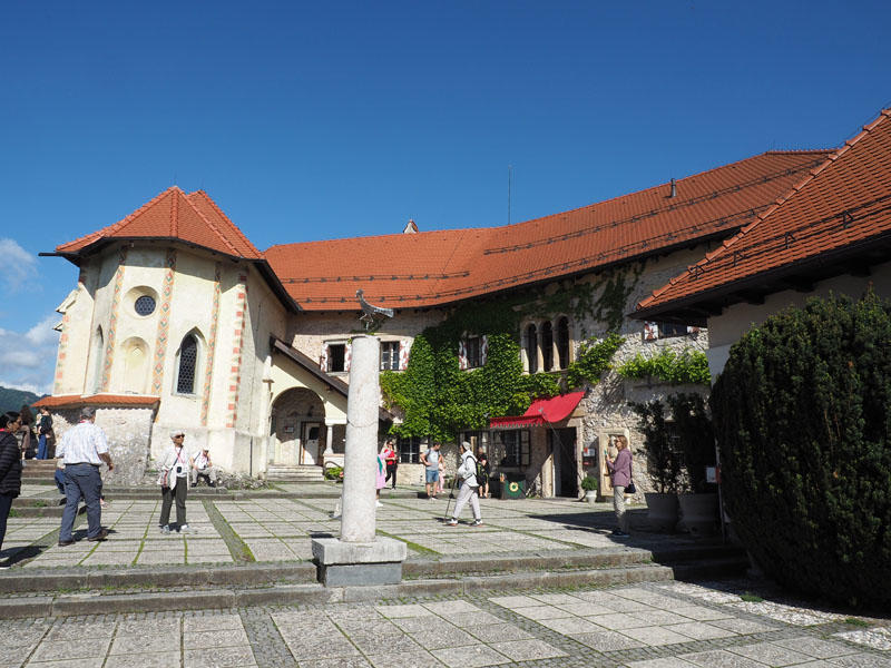 The peacock in a courtyard in Bled Castle
